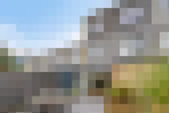 Hof der Herinnering 23 Amersfoort thumbnail 40