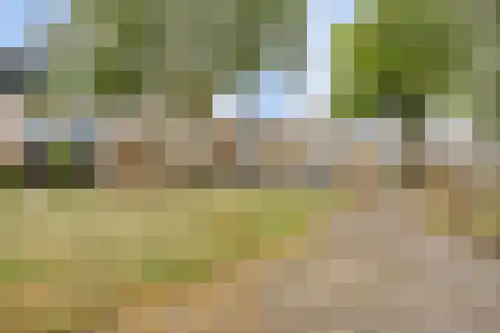 Hof der Herinnering 23 Amersfoort thumbnail 44
