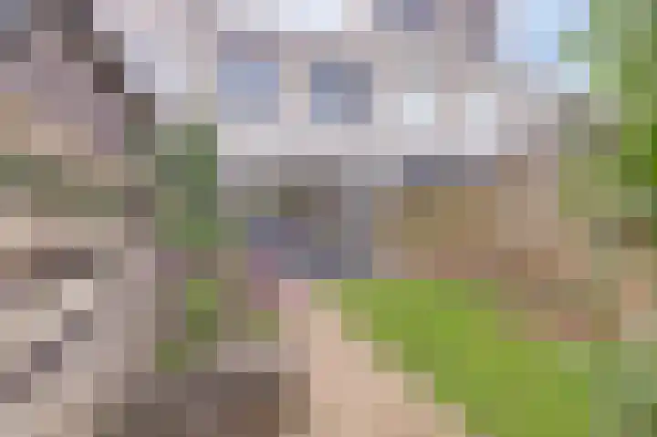 Hof der Reflectie 21 Amersfoort thumbnail 24