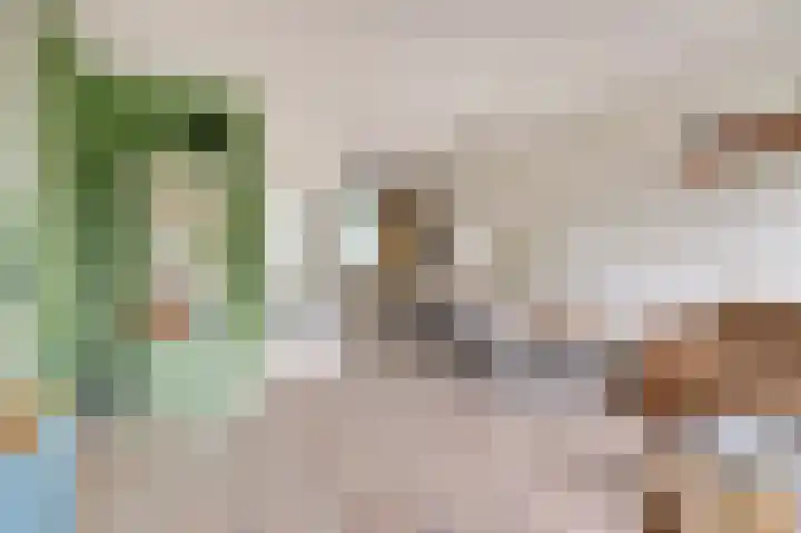 Hof der Reflectie 21 Amersfoort foto 3
