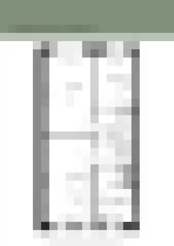 Hof der twee getuigen 32 Brielle thumbnail 4