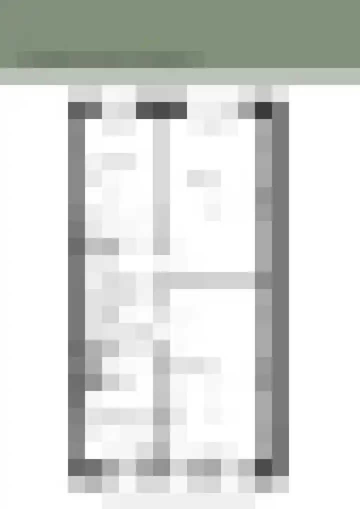 Hof der twee getuigen 34 Brielle thumbnail 4