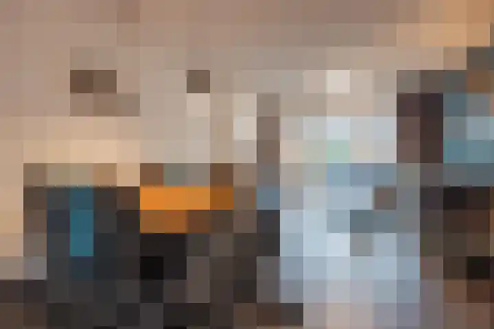 Hof te Berkel 18 Horst thumbnail 10