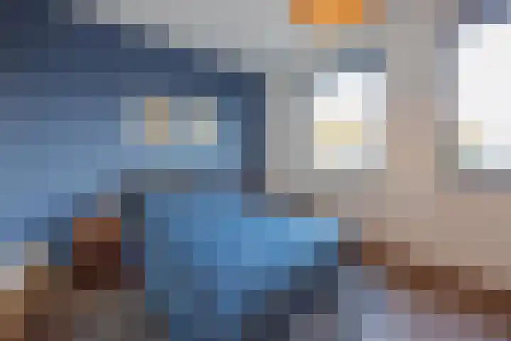 Hof te Berkel 18 Horst thumbnail 20