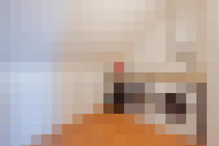 Hof te Berkel 18 Horst thumbnail 29