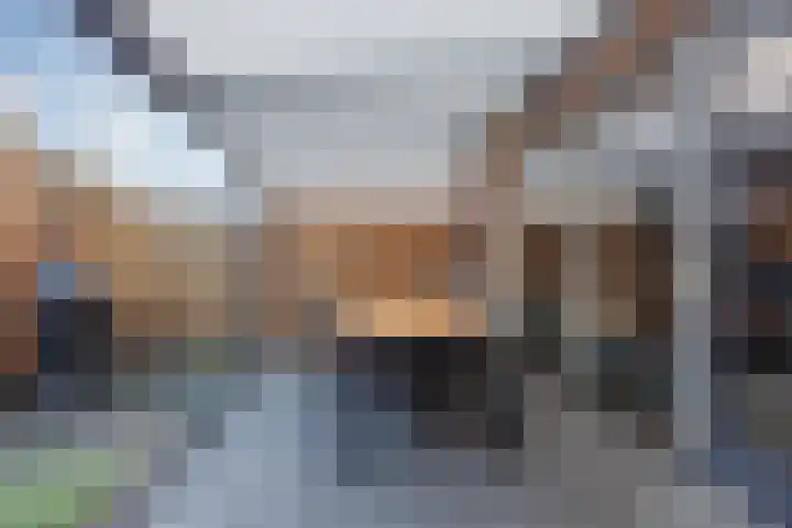 Hof te Berkel 18 Horst thumbnail 32