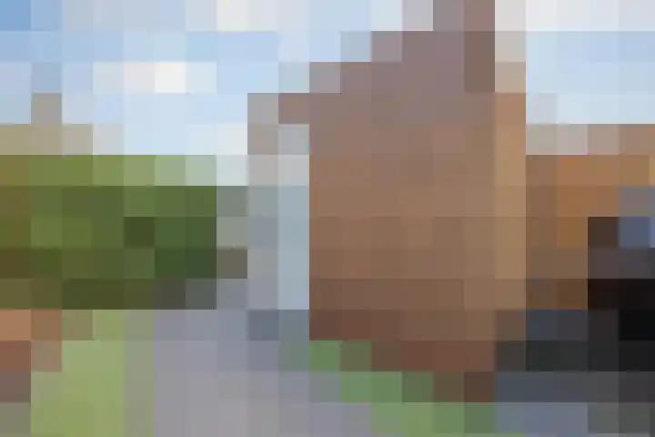 Hof te Berkel 18 Horst thumbnail 34