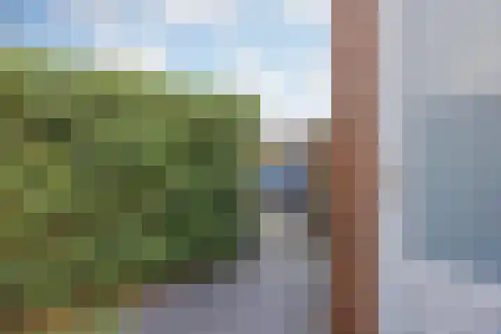 Hof te Berkel 18 Horst thumbnail 35