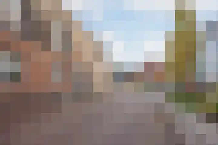 Hof te Berkel 18 Horst thumbnail 38