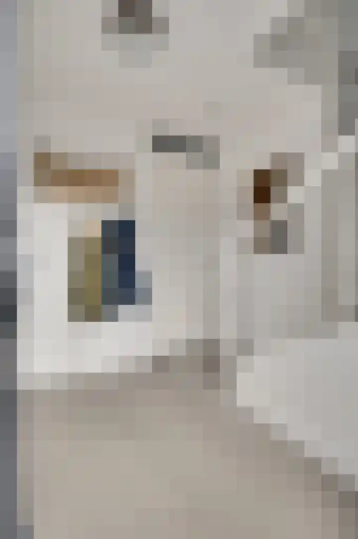 Hof te Berkel 2 Horst thumbnail 12