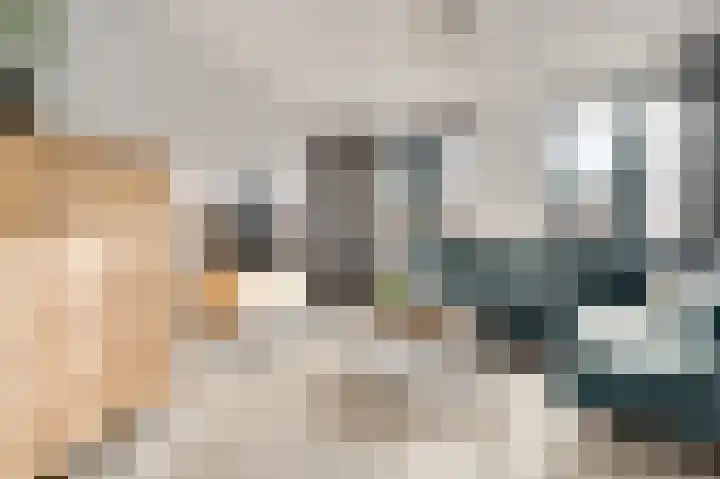 Hof te Berkel 2 Horst thumbnail 14
