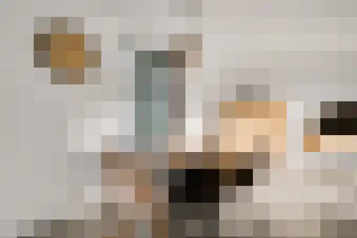 Hof te Berkel 2 Horst thumbnail 17