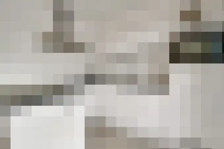 Hof te Berkel 2 Horst thumbnail 20
