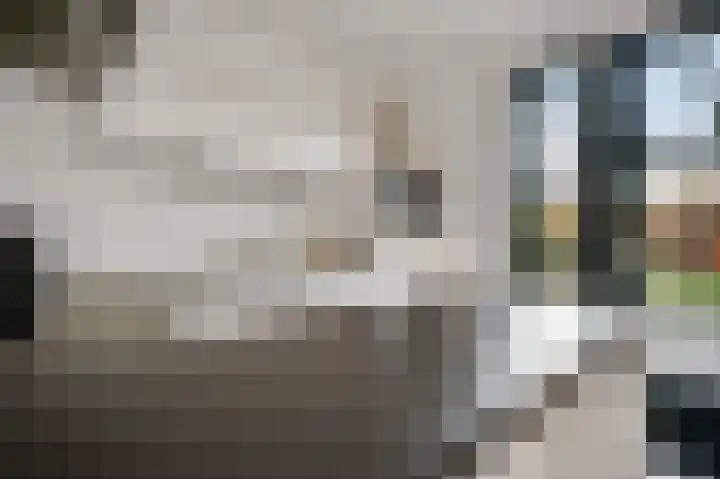 Hof te Berkel 2 Horst thumbnail 21