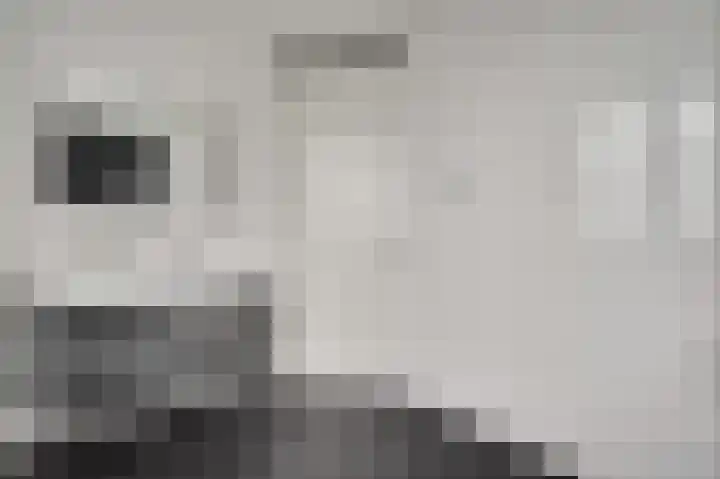 Hof te Berkel 2 Horst thumbnail 29
