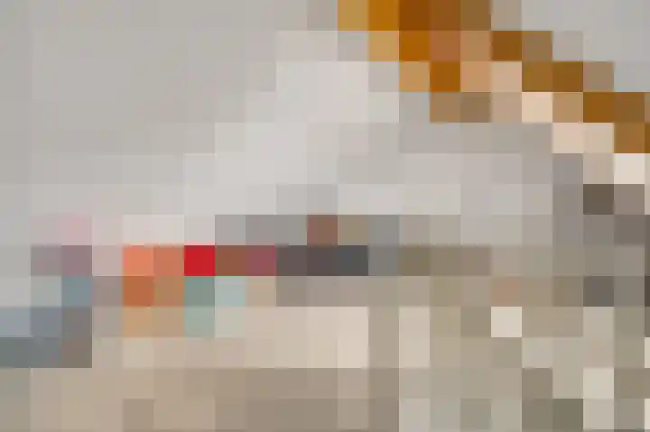 Hof te Berkel 2 Horst thumbnail 30