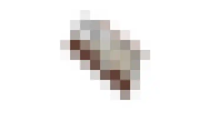 Hof te Berkel 2 Horst thumbnail 44