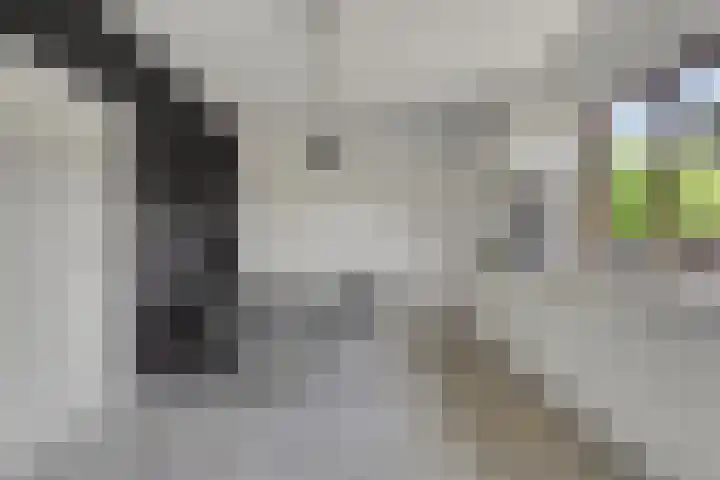 Hof te Zandeplein 20 Kloosterzande thumbnail 10