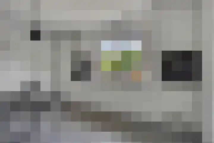 Hof te Zandeplein 20 Kloosterzande thumbnail 11