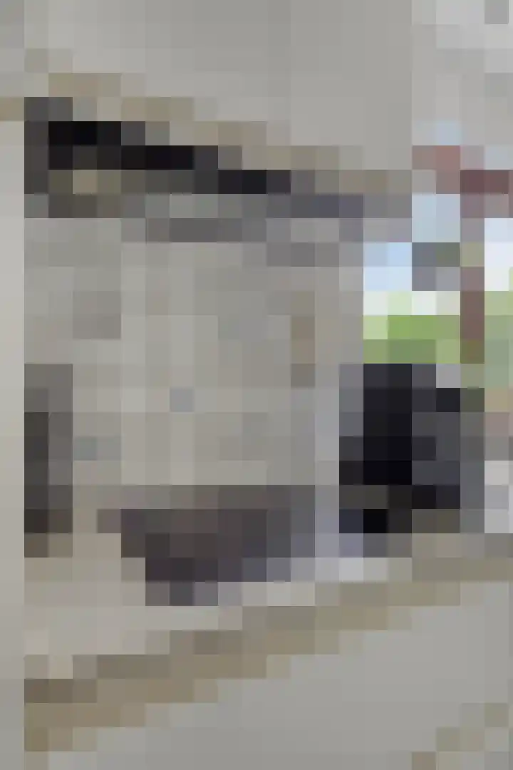 Hof te Zandeplein 20 Kloosterzande thumbnail 14