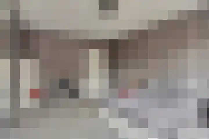 Hof te Zandeplein 20 Kloosterzande thumbnail 17