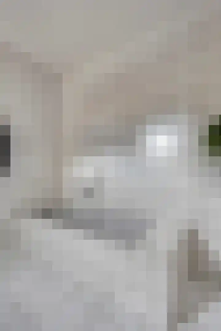 Hof te Zandeplein 20 Kloosterzande thumbnail 19