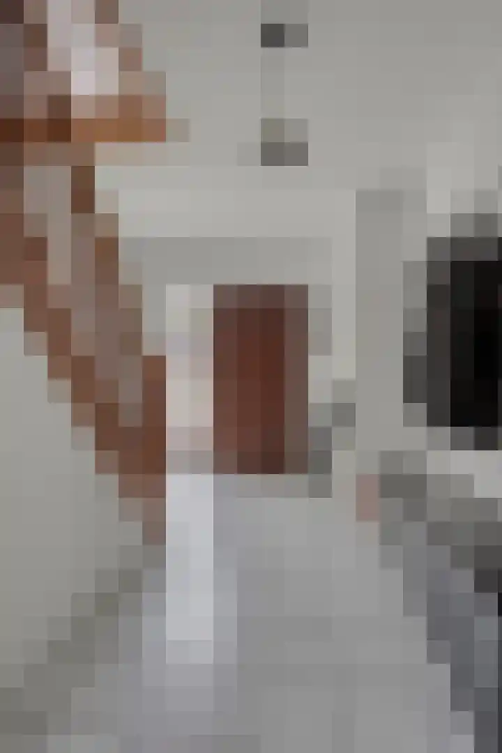 Hof te Zandeplein 20 Kloosterzande foto 2