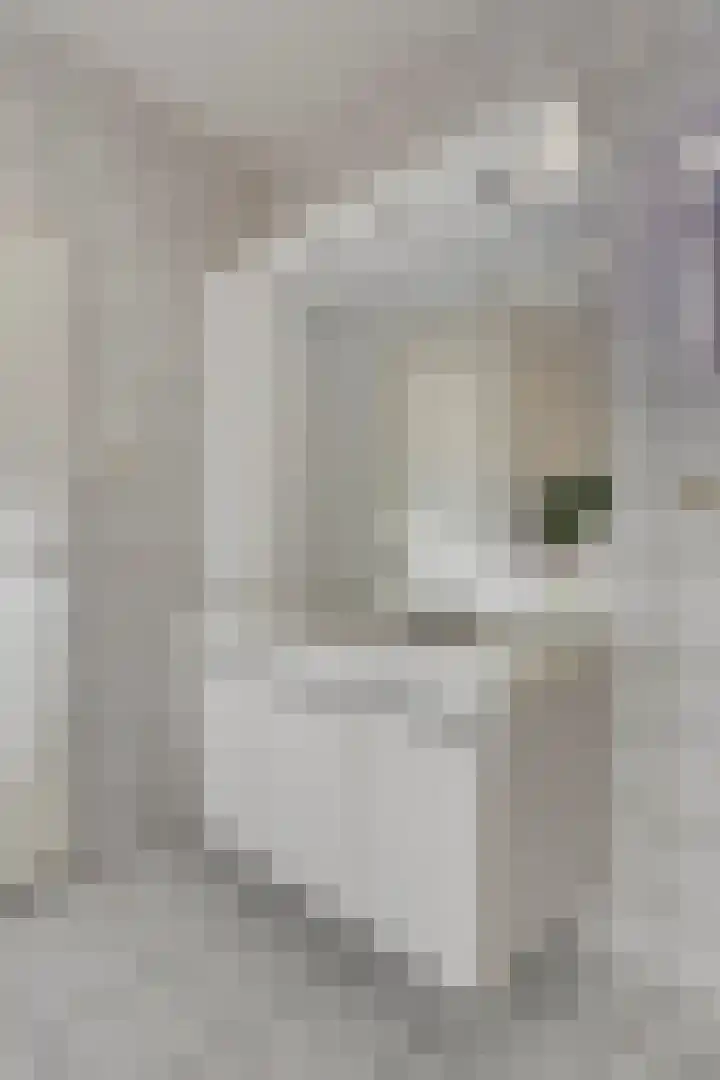 Hof te Zandeplein 20 Kloosterzande thumbnail 20