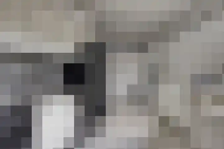 Hof te Zandeplein 20 Kloosterzande thumbnail 22
