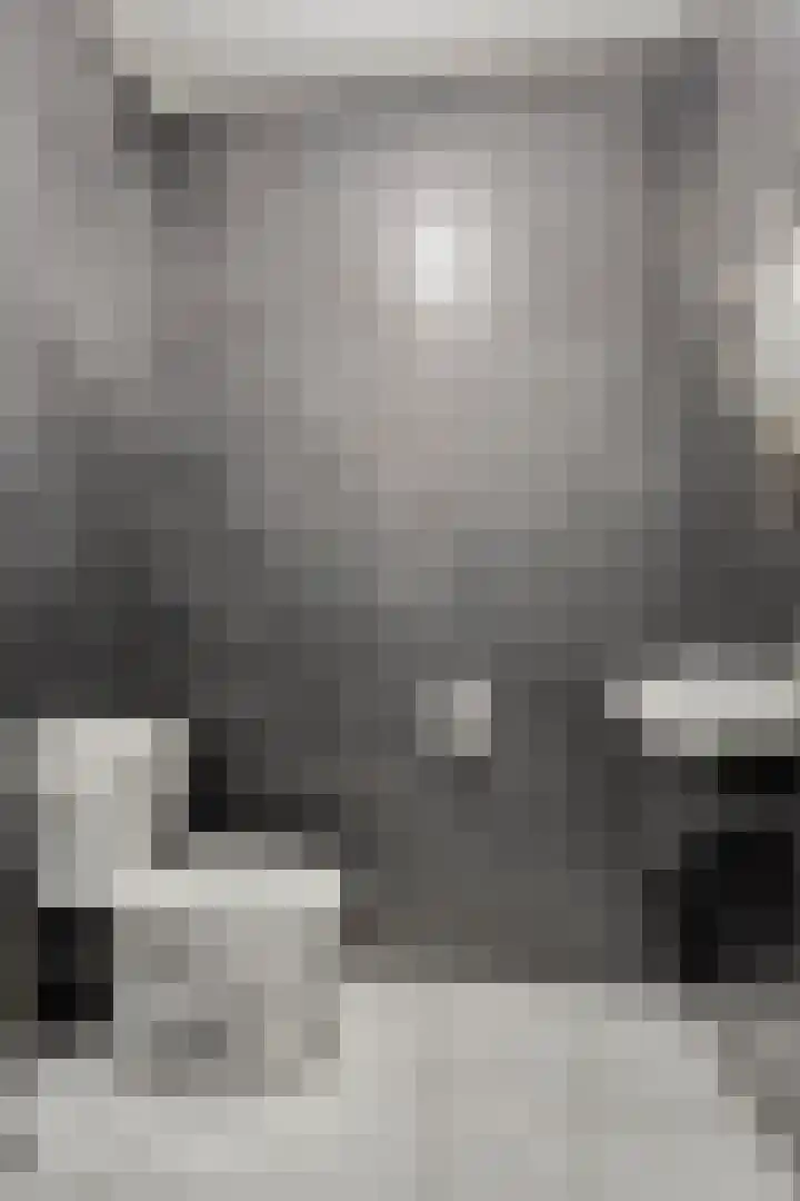 Hof te Zandeplein 20 Kloosterzande foto 3