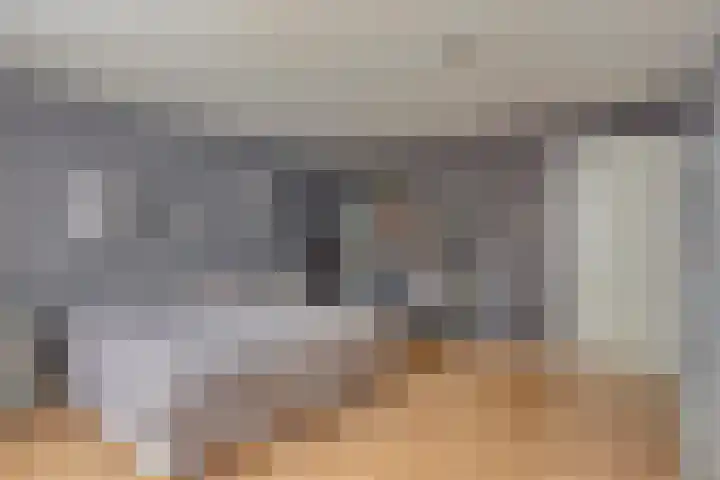 Hof te Zandeplein 20 Kloosterzande thumbnail 31