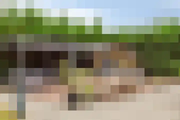 Hof te Zandeplein 20 Kloosterzande thumbnail 35