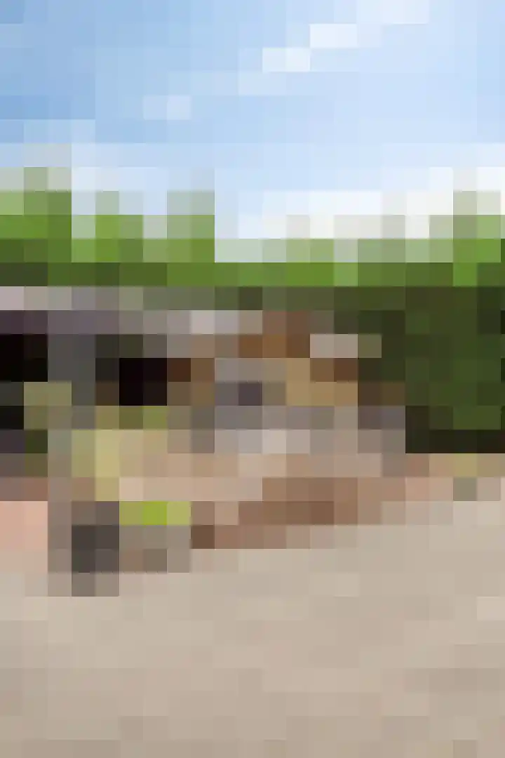 Hof te Zandeplein 20 Kloosterzande thumbnail 36