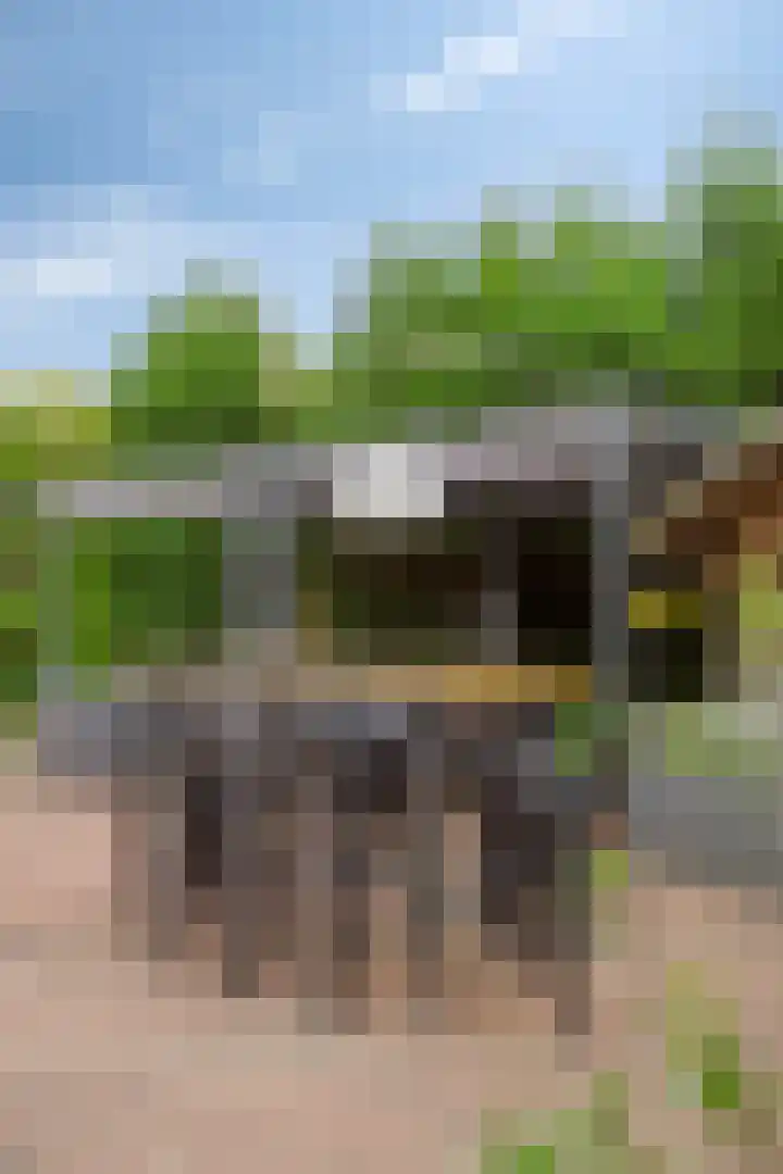 Hof te Zandeplein 20 Kloosterzande thumbnail 37