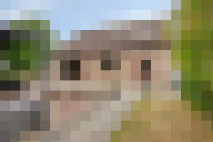 Hof te Zandeplein 20 Kloosterzande thumbnail 39