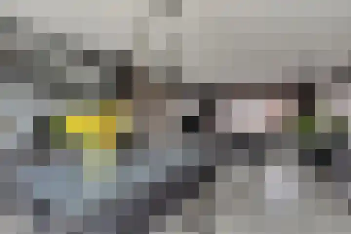 Hof te Zandeplein 20 Kloosterzande thumbnail 4