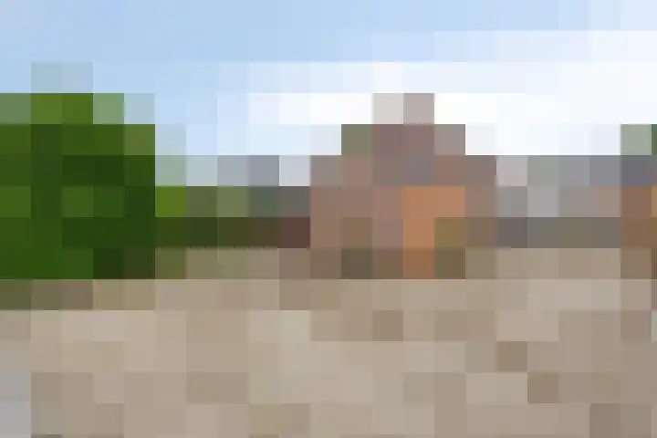 Hof te Zandeplein 20 Kloosterzande thumbnail 40