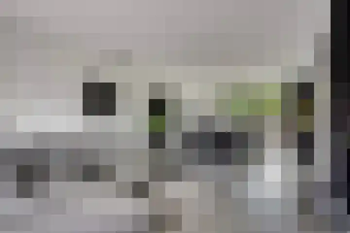 Hof te Zandeplein 20 Kloosterzande thumbnail 6