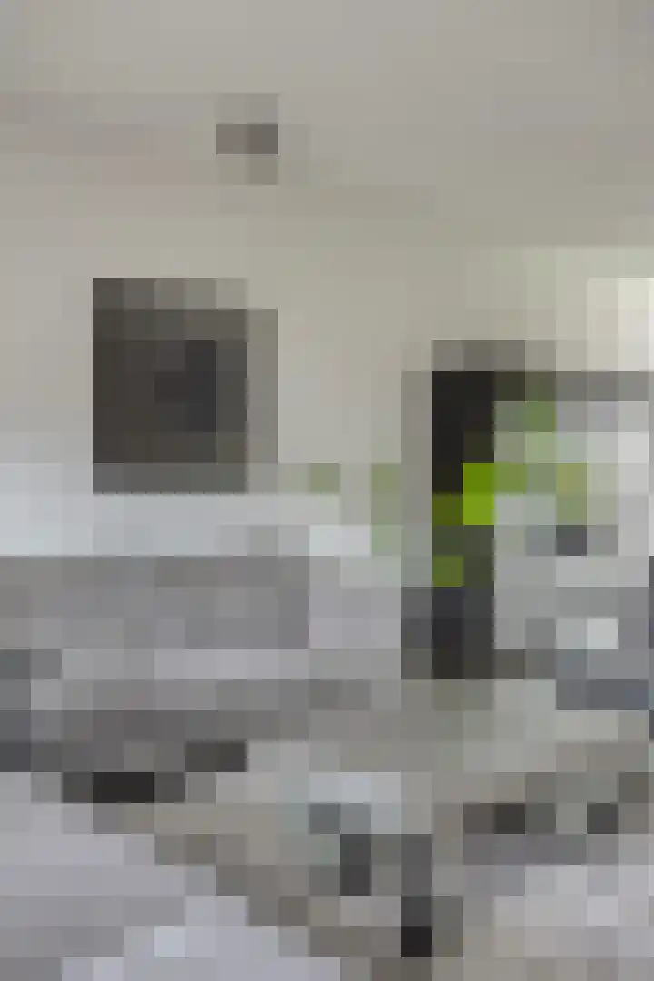 Hof te Zandeplein 20 Kloosterzande thumbnail 7