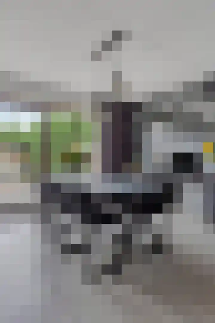 Hof te Zandeplein 20 Kloosterzande thumbnail 8