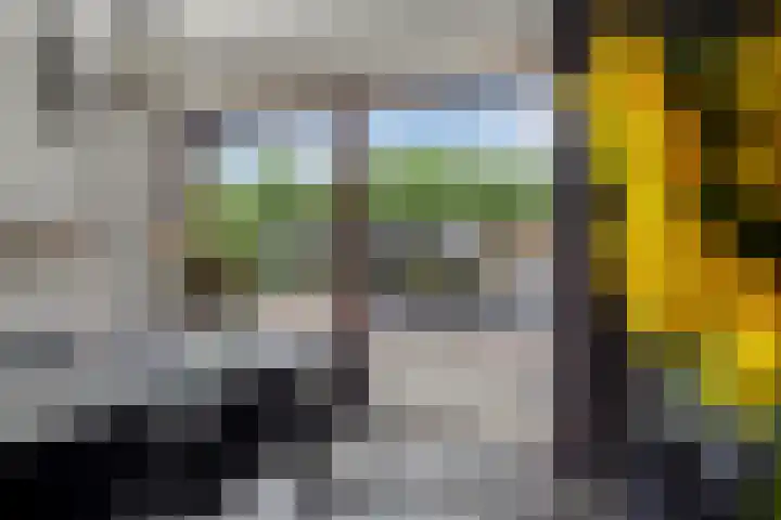 Hof te Zandeplein 20 Kloosterzande thumbnail 9