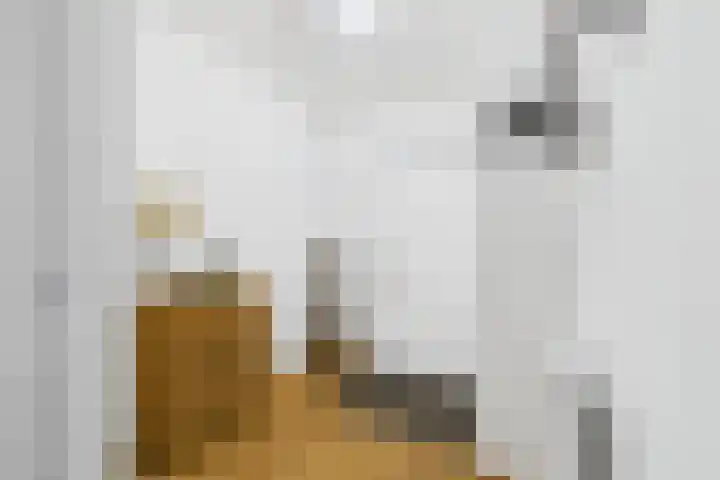 Hof te Zandeplein 37 Kloosterzande thumbnail 10