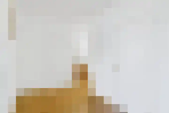 Hof te Zandeplein 37 Kloosterzande thumbnail 11