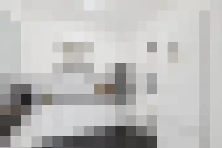 Hof te Zandeplein 37 Kloosterzande thumbnail 19