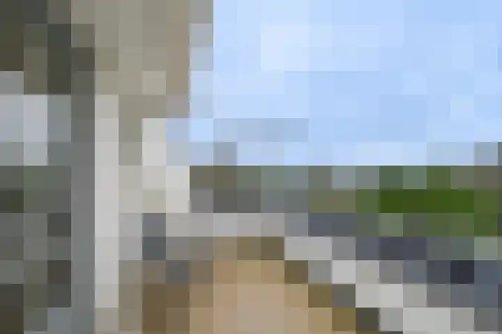 Hof te Zandeplein 37 Kloosterzande thumbnail 23