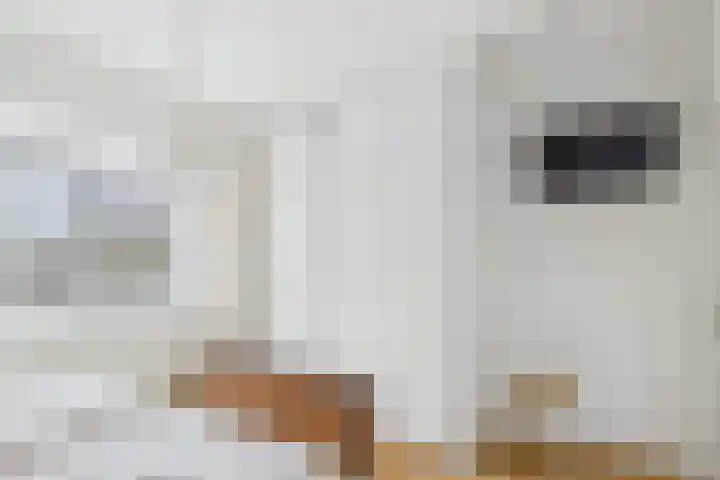 Hof te Zandeplein 37 Kloosterzande thumbnail 30