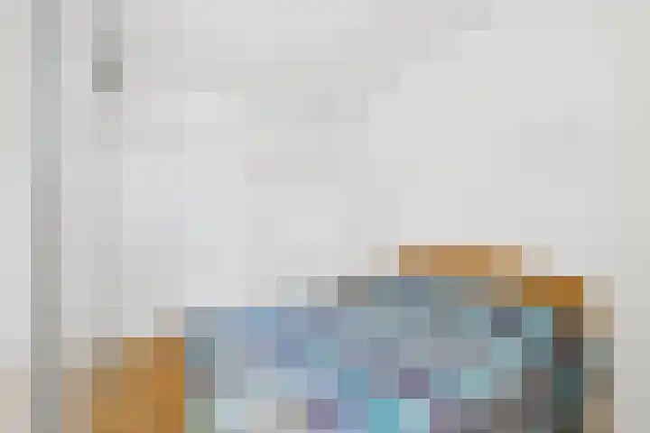 Hof te Zandeplein 37 Kloosterzande thumbnail 33