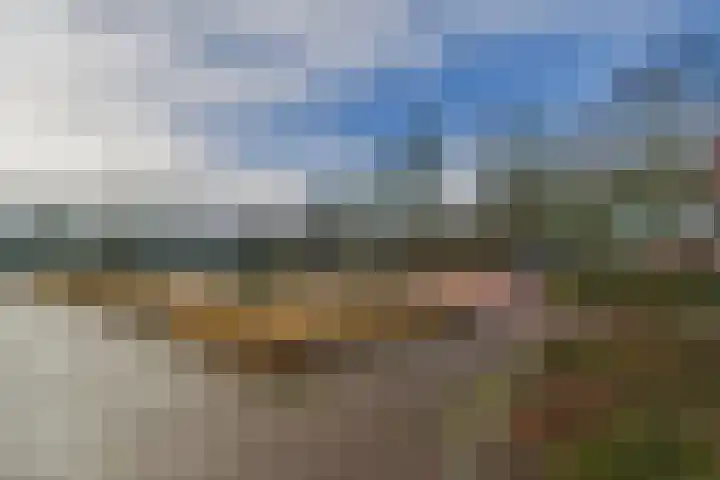 Hof te Zandeplein 37 Kloosterzande thumbnail 36