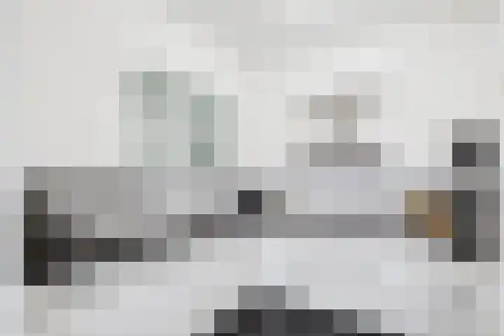 Hof te Zandeplein 37 Kloosterzande thumbnail 4