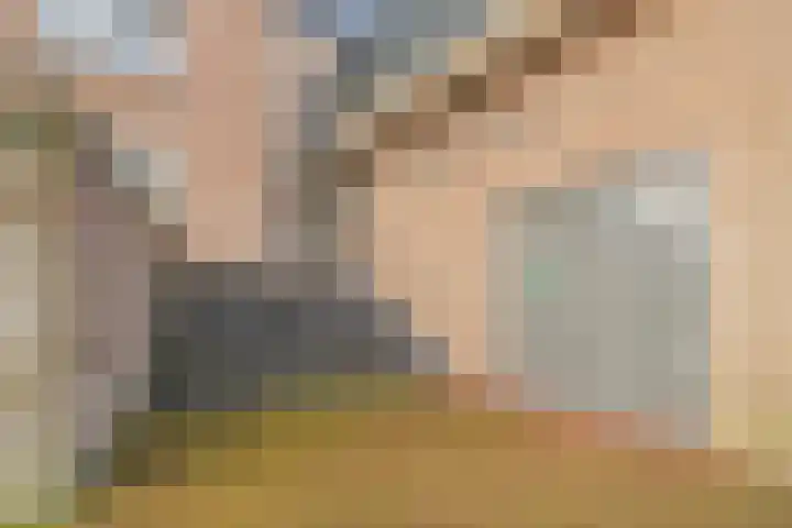 Hof te Zandeplein 37 Kloosterzande thumbnail 6